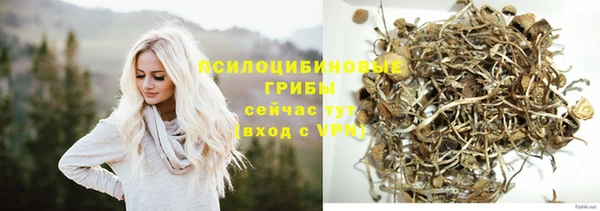 мяу мяу мука Алексин